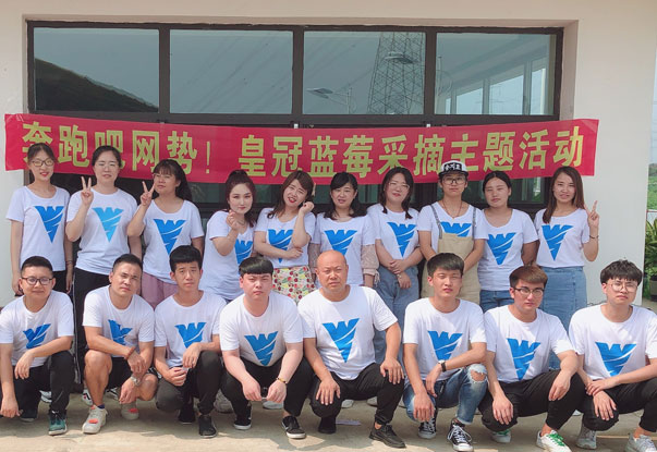 【奔跑吧網(wǎng)勢！】藍莓采摘主題團建活動